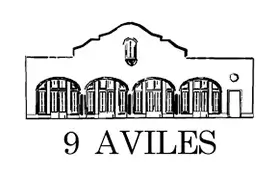 9 Aviles logo